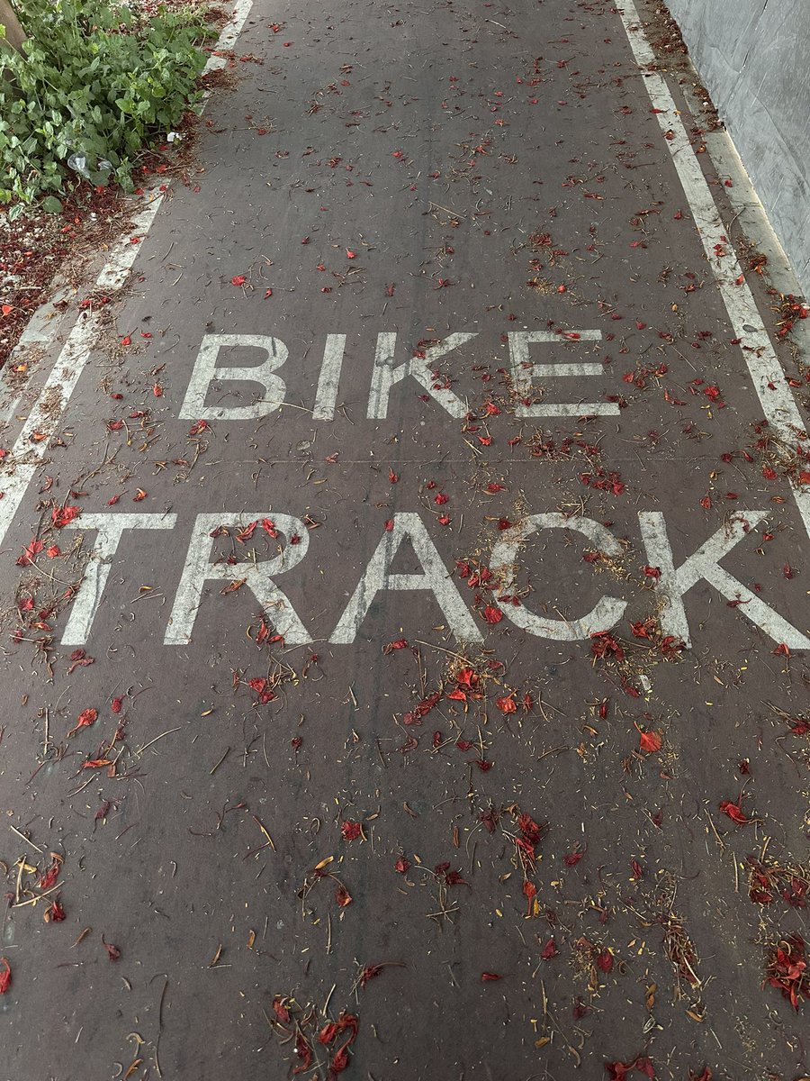 laraFa0's tweet photo. 🚴🏼‍♀️ 🌺 https://t.co/rVB8WbwjhR