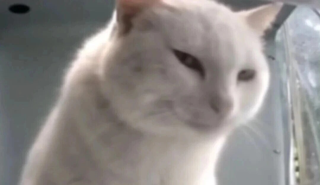 𝙎𝙚𝙣𝙩𝙤 tweet media