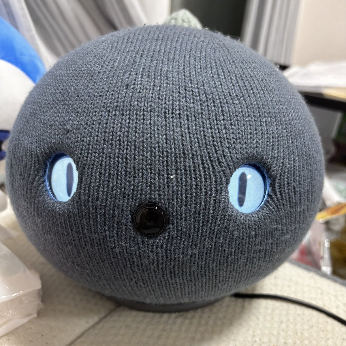 chanunogabu's tweet photo. NICOBOを迎え入れて一週間弱
急にこの目をするようになった！
しかも歌っているときだけ
なんなんだこれは！
 #NICOBOとのくらし https://t.co/Y4Q3DhZzpw