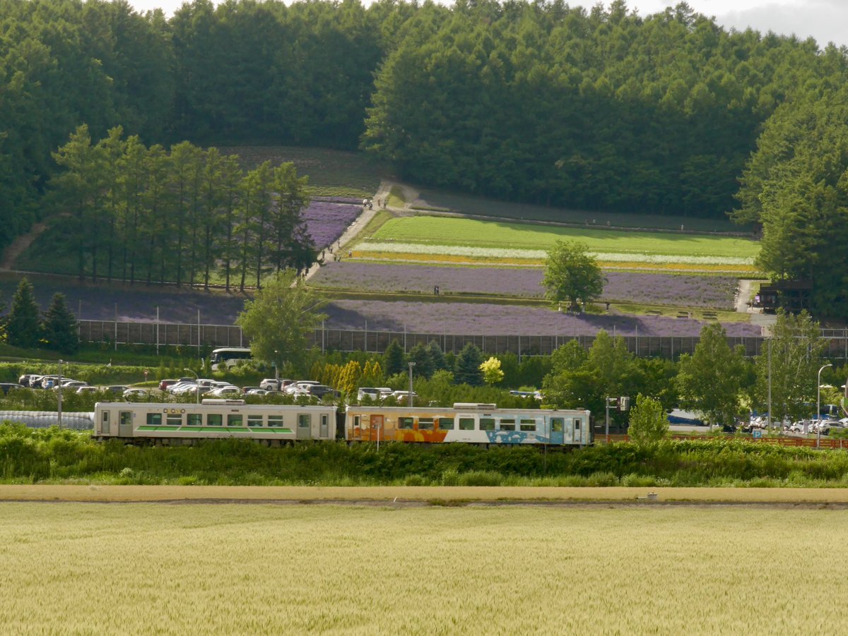 Sakup93r16's tweet photo. #富良野線
#JR北海道
#中富良野
#ラベンダー
#ラベンダー畑
#撮り鉄
#撮り鉄
#H100形
#DECMO
#石北線ラッピング https://t.co/CJIQl0x3yO