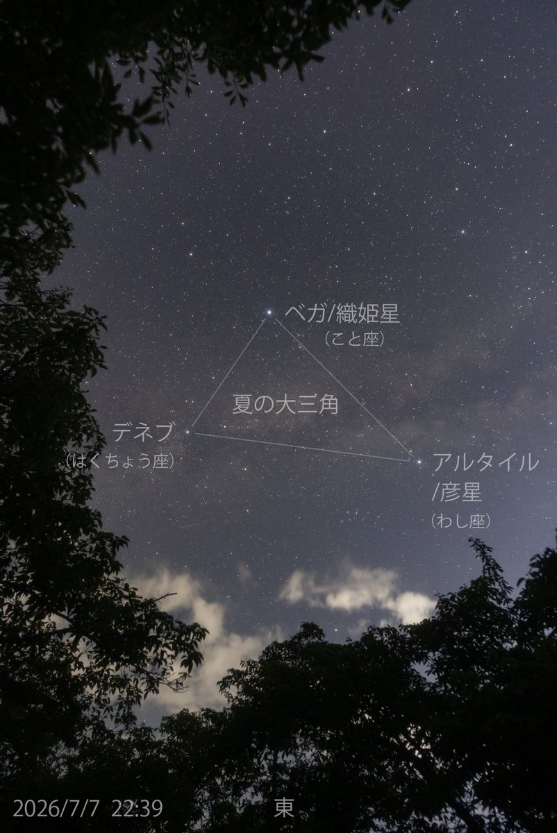 man_ten_bo_shi's tweet photo. 今夜の能登の星空です。
当館周辺では午後10時頃から晴れてきました。空は少し明るいものの、多くの星が見えています。
本日7月7日は七夕ですね。
東の空には織姫星と彦星が見えています。2つの星の間には天の川も淡く見えています。
もし晴れていましたら、七夕の星を見つけてみましょう。 https://t.co/MiTZ6PauKq
