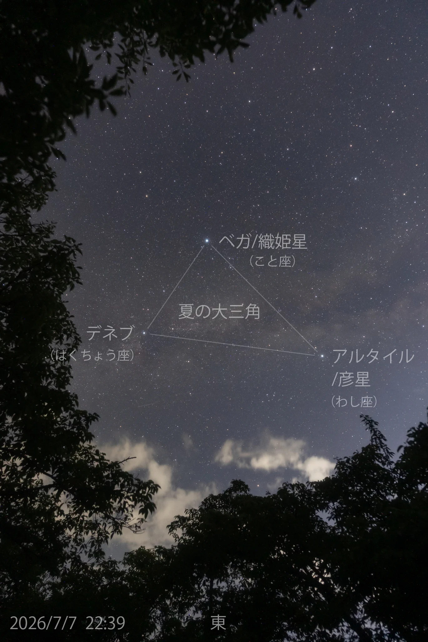 満天星 星の観察館「満天星」 on X: 