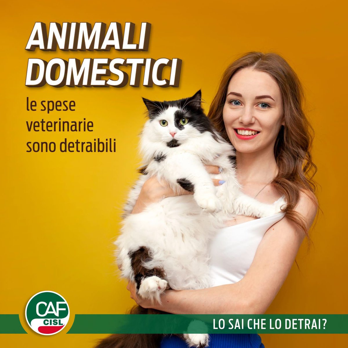 AlessandriaAsti's tweet photo. 🐾 Hai sostenuto spese veterinarie?
Puoi detrarre il 19% delle spese sostenute per il tuo animale da compagnia, per importi tra 129,11€ e 550€.
🟢 Per maggiori informazioni rivolgiti a Caf cisl.
#CAF #CISL #DetrazioniFiscali #AnimaliDaCompagnia https://t.co/0zXnQ1aO1P