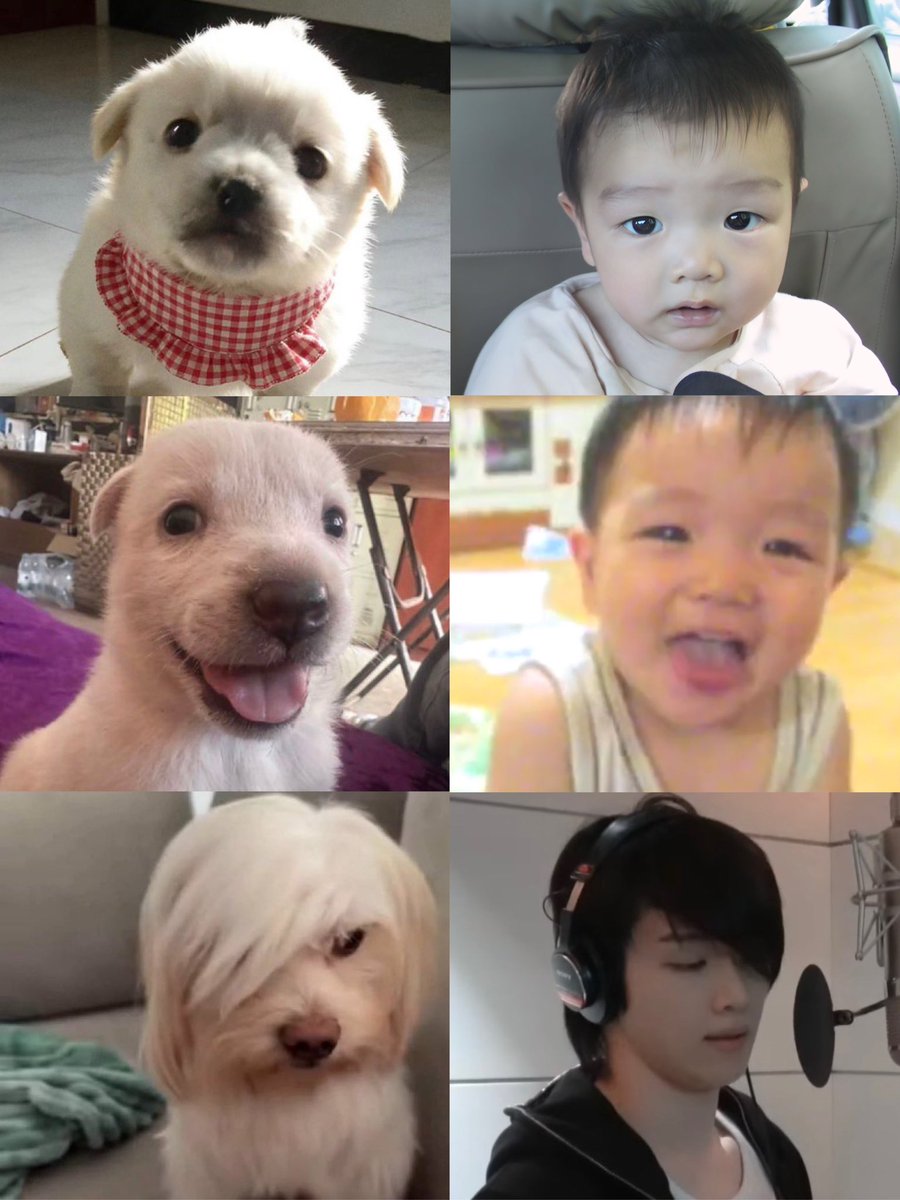 jscbemycute's tweet photo. ใคร https://t.co/bEX6OMVj1I