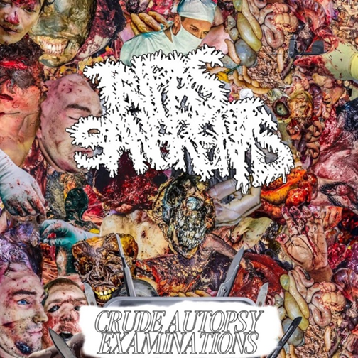saku_216's tweet photo. Tripas Sangrientas - Crude Autopsy Examinations (2025) https://t.co/VTAIhXdUmS