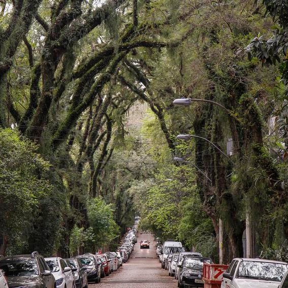 matheuspggomes's tweet photo. OUTRA VITÓRIA! 

A Melnick e a turma do Melo já podem começar a chorar: a Justiça do RS decidiu manter a proibição de qualquer movimentação na obra da Gonçalo de Carvalho.

A juíza também rejeitou os pedidos da Melnick e da Prefeitura de Porto Alegre para derrubar o processo.

Além disso, também apontou graves indícios na liberação da obra, como a falta de estudo de impacto ambiental e garantia de preservação do patrimônio histórico. A luta segue!