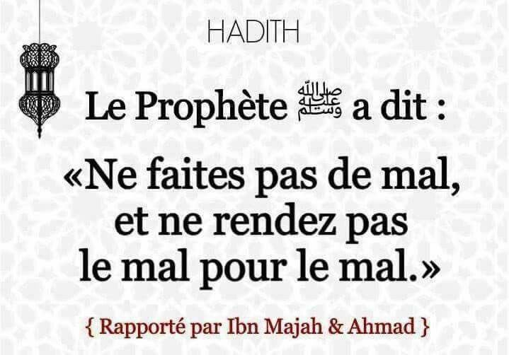 Yamuhammad07's tweet photo. https://t.co/UMBYZJaz3j