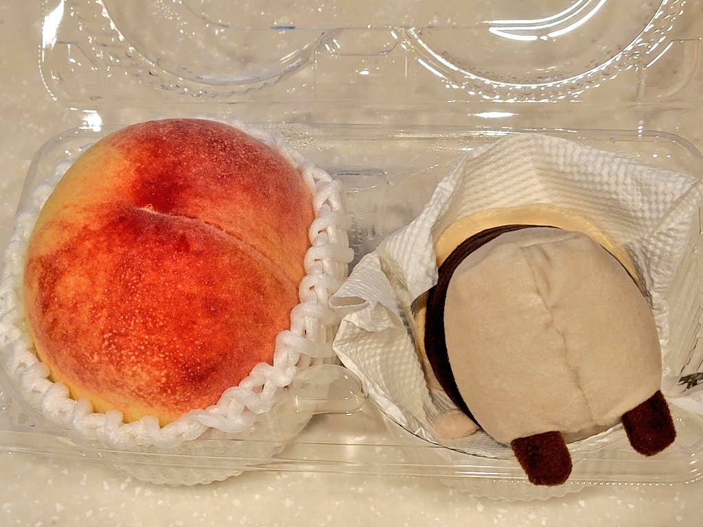 guunaya's tweet photo. 🍑 https://t.co/qfsV8J3jsE