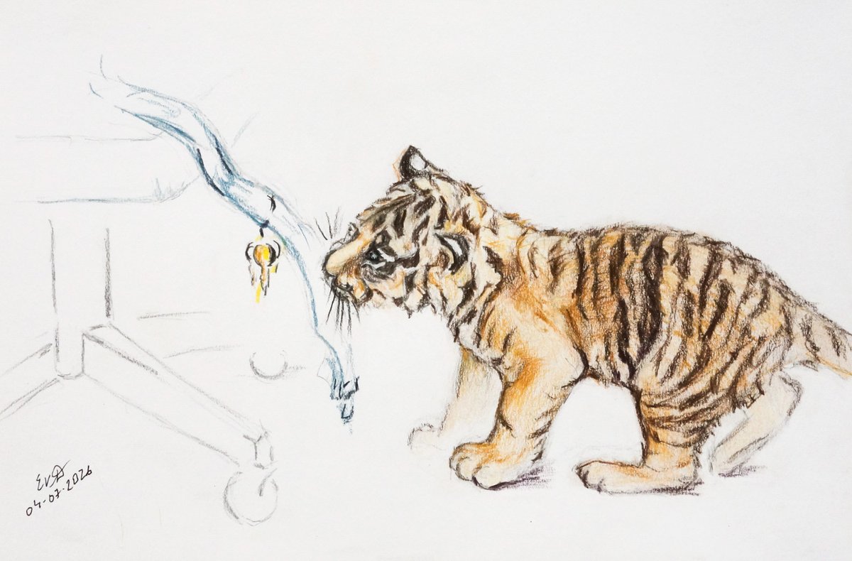 Kat_Drozhdina's tweet photo. Muju's childhood
Muju is naughty 🥳🤣
#Muju #Sumatran_tiger #ムジ https://t.co/0LNrrQUjCJ