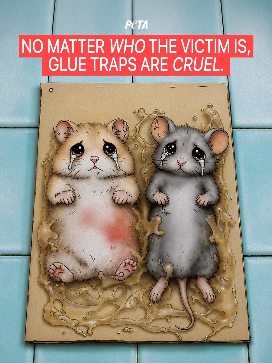 PETA tweet media