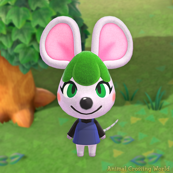 Animal Crossing World 🏝️ tweet media