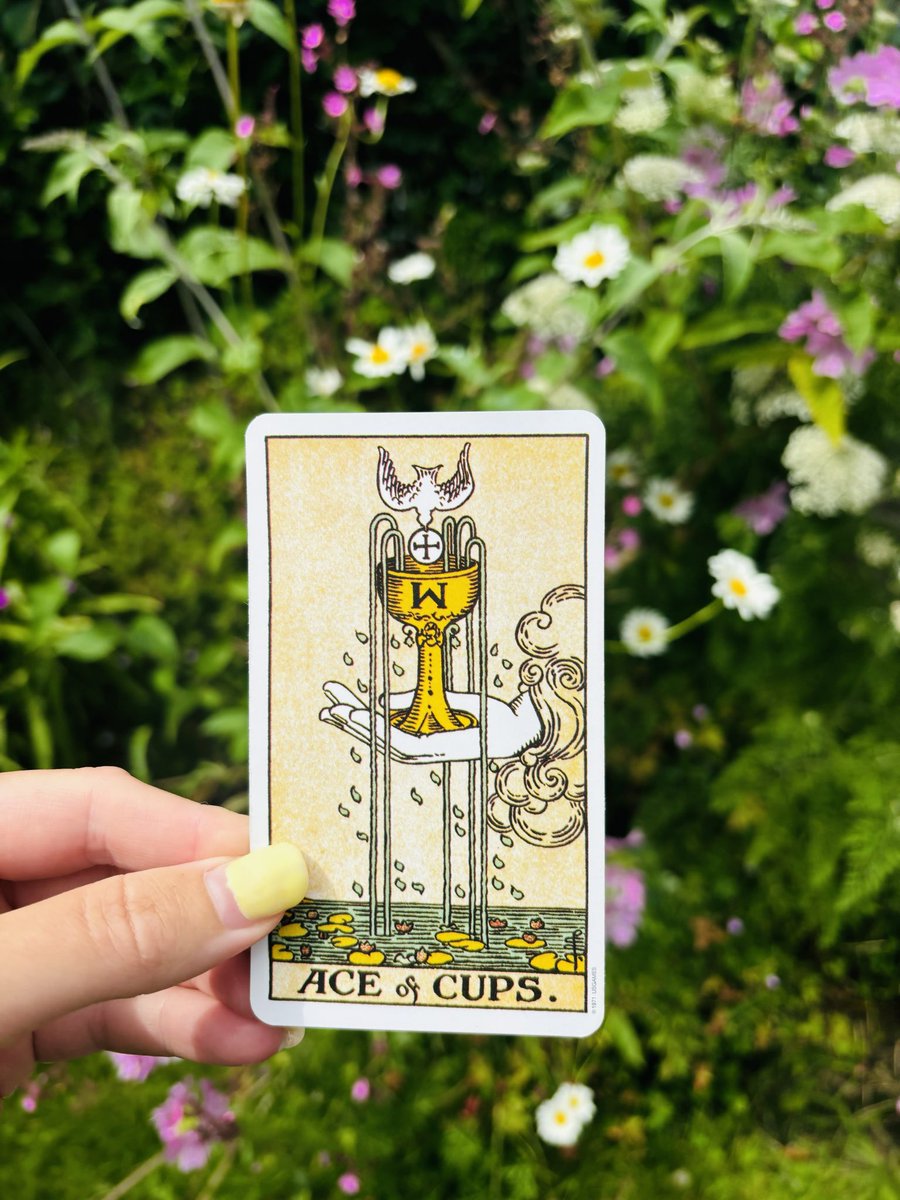 GuidanceAbove's tweet photo. 📩 🪽♡ Message Of The Day - 333 - Beautiful soul, the reason this message has manifested on your timeline is because you’re about to be bestowed with a blessing that brings tears of joy and gratitude. The burdens will soon be lifted as the universe delivers exactly what you asked for. This isn’t about luck it’s alignment and chosen one, you’re in alignment with the energy of prosperity, love & abundance. Whatever success looks like for you, you’re manifesting it.”