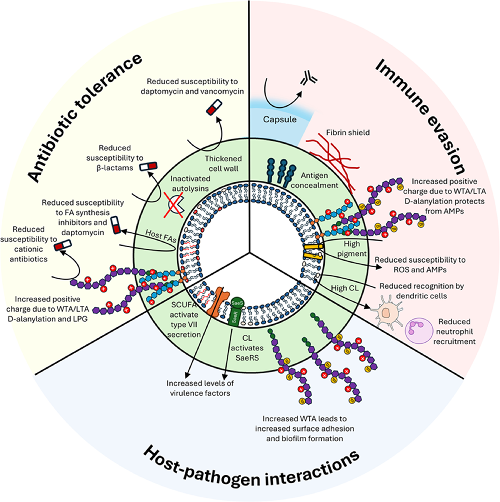 Microbiology Society tweet media