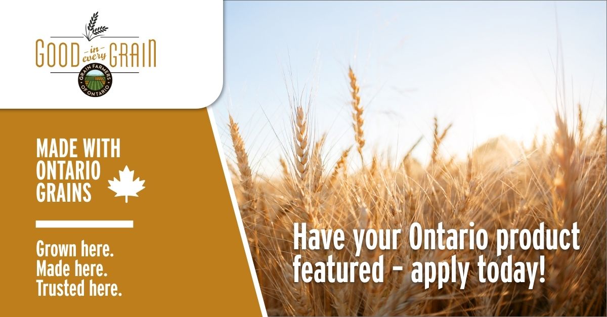 GrainFarmers's tweet photo. Good in Every Grain (@GoodInGrain) is launching the Made with Ontario Grains campaign this fall. 

The initiative will highlight food and beverage companies using Ontario-grown barley, corn, oats, soybeans, and/or wheat. 

Get involved: https://t.co/8zHiTHi7sj https://t.co/ig0gJlD0zg