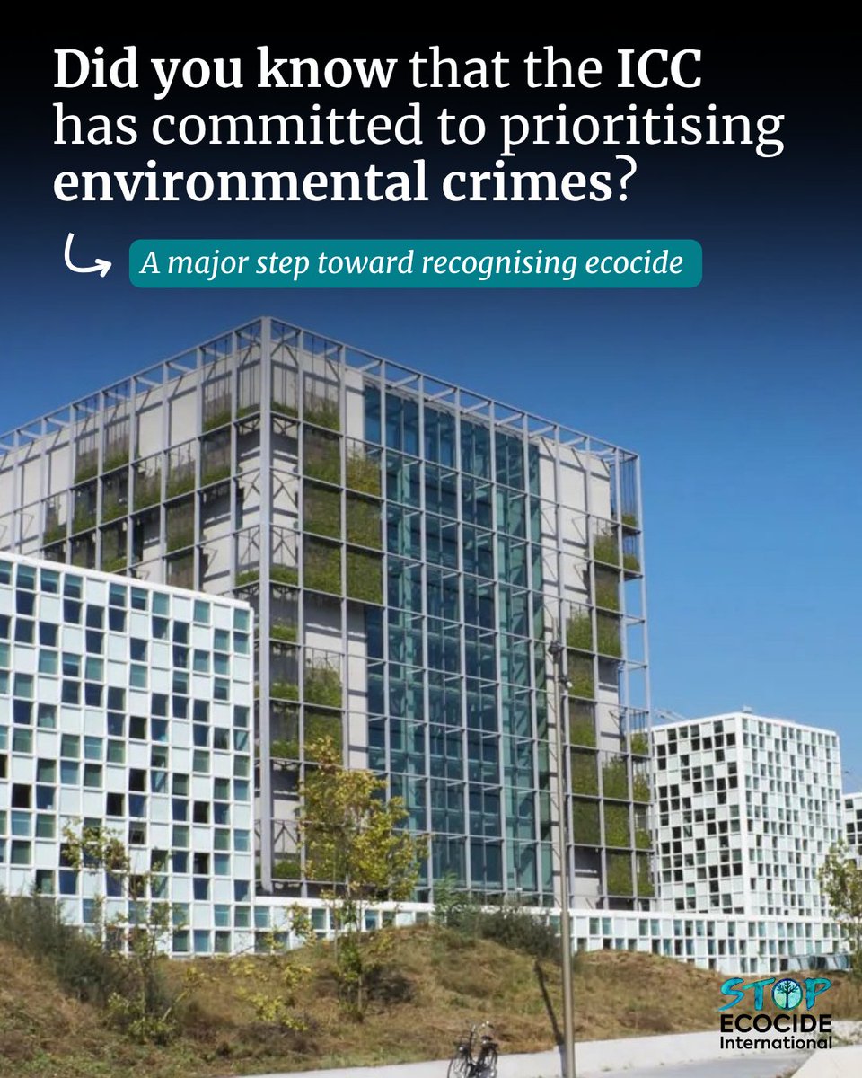 EcocideLaw's tweet photo. Did you know that the @intlcrimcourt has committed itself to investigating and prosecuting environmental crimes?

The new policy (announced end of last year) is a huge milestone for environmental criminal law!

Learn more: https://t.co/ssbfqnOmsf

#StopEcocide https://t.co/hB8YPSlw0F