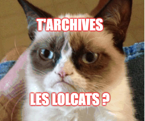 DLwebBnF's tweet photo. Pourquoi les chatons et autres lolcats ont-ils envahi le web et par la même occasion les archives du web ? Une nouvelle page d’accueil entièrement consacrée au phénomène accompagne notre nouveau parcours guidé sur la viralité ⤵️
 https://t.co/dLJ4XP4Kxi
#lolcat https://t.co/wZQWD4j7JS