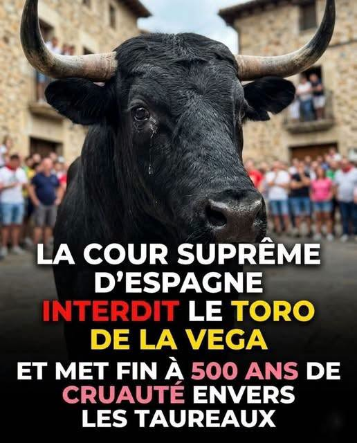 KFranc91's tweet photo. https://t.co/IwPXHWCYyk