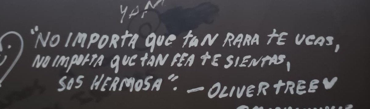 alieng1rlxxm's tweet photo. i quoted oliver on my school bathroom https://t.co/r0ev4EsxTY