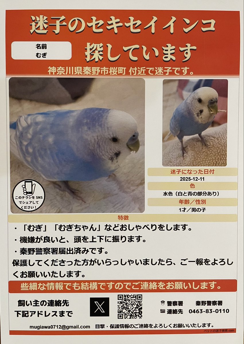 mugi07482016's tweet photo. 迷子のセキセイインコむぎを
ずっと探しています。

7月はむぎの誕生日。2歳になります。
むぎ、一緒にお祝いできなくて
本当にごめんね。会いたいよ。

似ている鳥を保護、育てている方など
些細なことでも情報がありましたら、
ご連絡をよろしくお願いします🙇‍♀️

#セキセイインコ #迷子鳥 #秦野市 https://t.co/8SexBckRN4