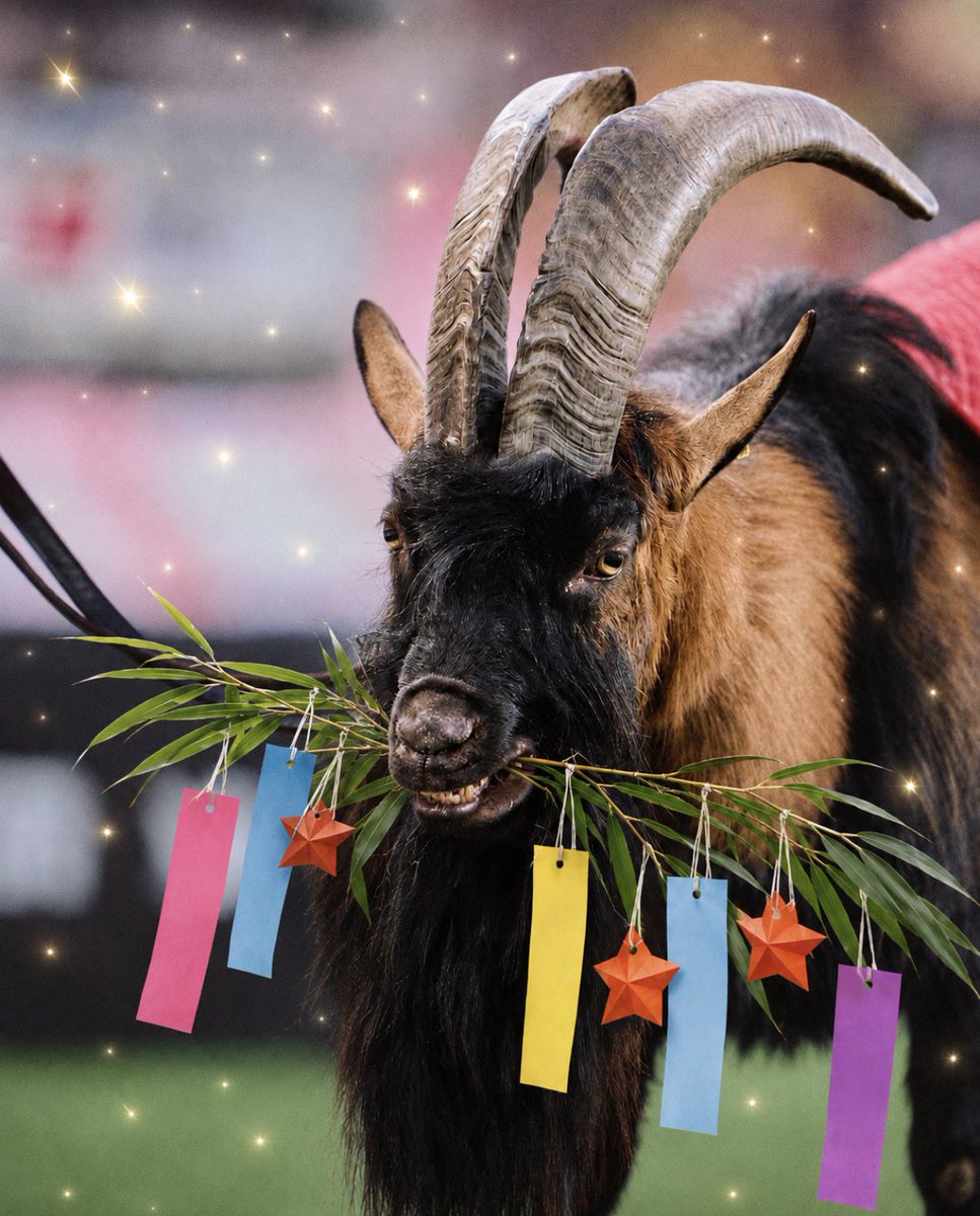1. FC ケルン (@fckoeln_jp) / Posts / X