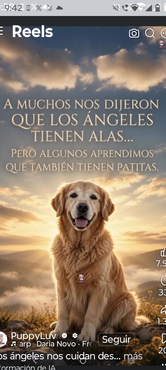 Luisgranate3's tweet photo. Los mejores y más fieles amigos, adopta no compres salva una vida! ❤️🤗🤗 https://t.co/8OXPHHGlmd