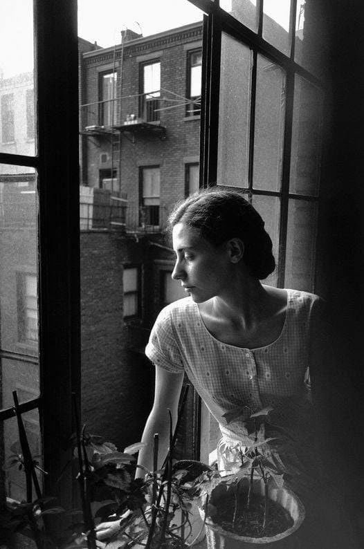 literlandweb1's tweet photo. "Solemos decir que hay cosas que no se pueden perdonar, o que nunca podremos perdonarnos. Y sin embargo lo hacemos, a todas horas". 
"Vida querida", Alice Munro
📷 Lee Friedlander https://t.co/Vsgqgrht07
