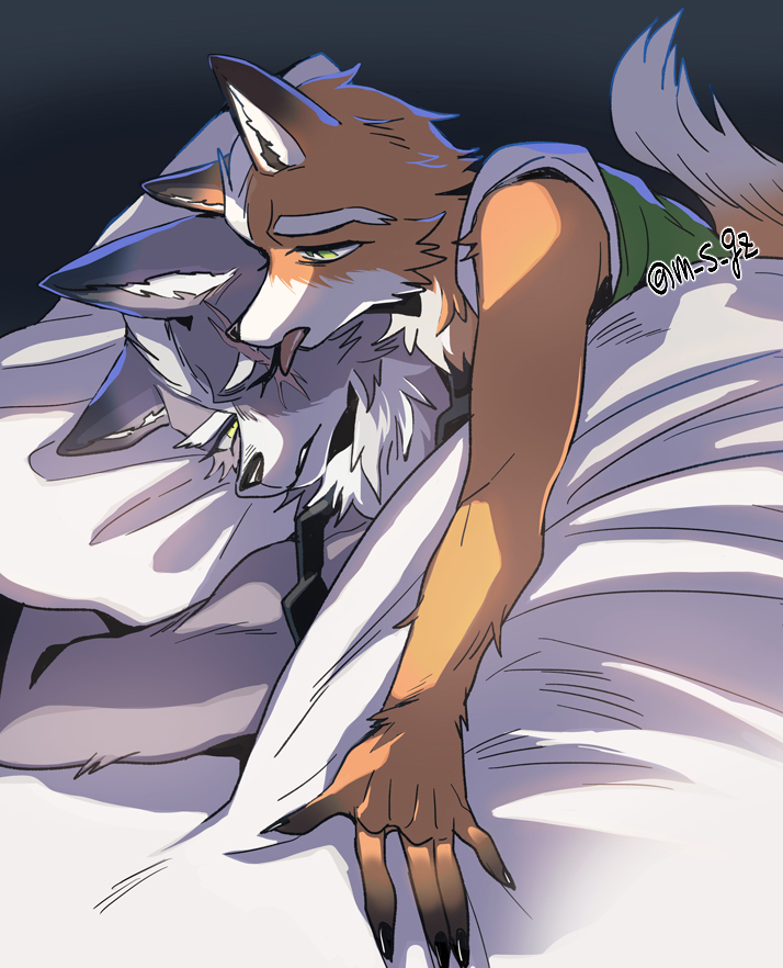 m_s_gz's tweet photo. フォウル🦊🐺 https://t.co/TKoUHzpLaJ