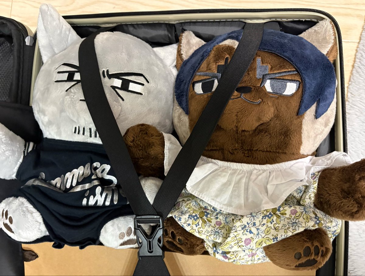 mun_Kieahhhh's tweet photo. 🎏キェェェ！これは なん の つもりだ きさまッッ！
🌙たいざいさき に おくる の わすれたんですよ ほかいどー まで なか よっかほど かかります ので まにあいません

ごめんよぉぉぉ😭でもむぜねぇ🥰🥰
月鯉カバーもマカロン色で可愛いねぇ(付けるの大変だったけど)(;¤̴̶̷̤́д¤̴̶̷̤̀)💚💜 https://t.co/9XlTROmPka