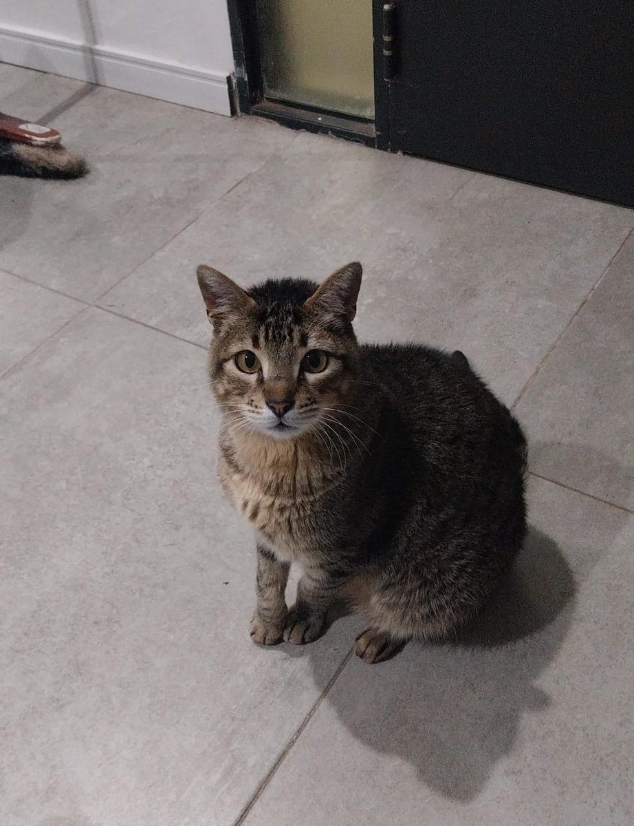 alma_arnz's tweet photo. feliz chemana de la dulzura🥺🥺🥺 https://t.co/pp7V6WuKt8