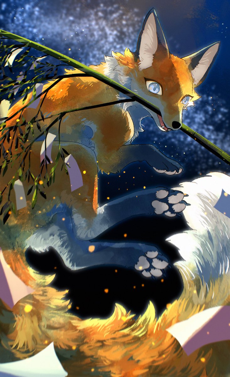 狐雪🦊🐾 (@koyuki31146) / Posts / X