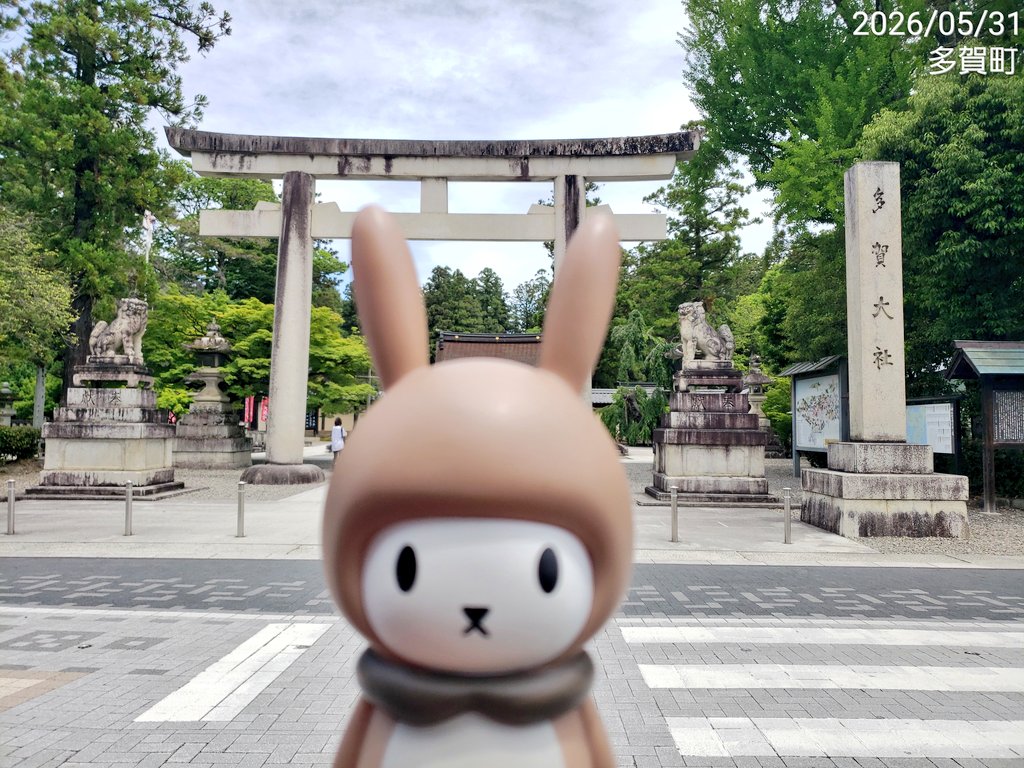 yukiss103's tweet photo. 恐れていたことが現実になってしまった🤦‍♀️
4月に決めてずっと楽しみにしていた今月の旅行…‥
またもや旅程崩壊しそうで死ぬほど落ち込んでる😔
しそうって言うより100%旅程崩壊する😭
どうすることもできんからもうやけくそで決行しようかと思ってる😤
#日本一周2026
#大阪 #兵庫 #滋賀 #岐阜 https://t.co/NOY8ejf1i4