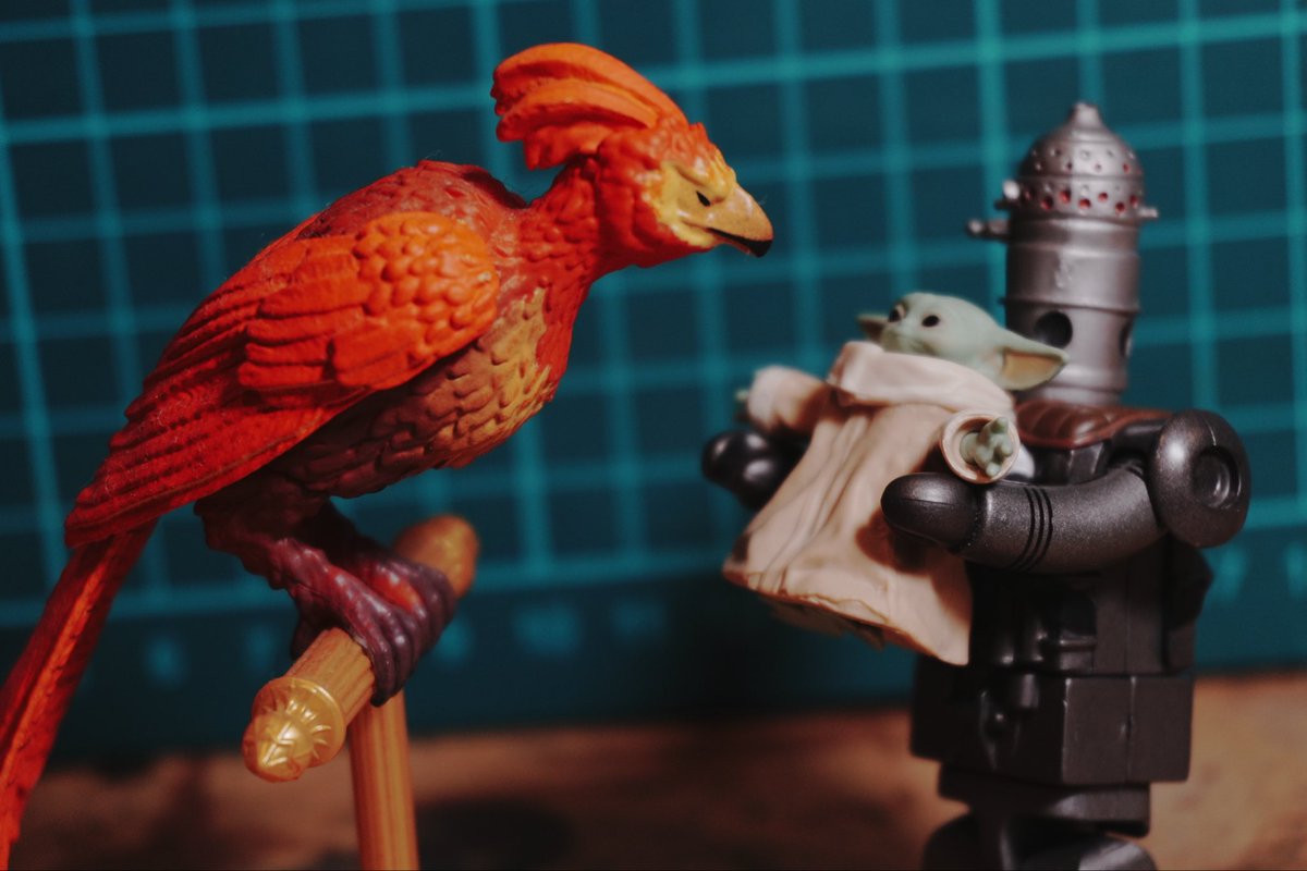 RYU1024819's tweet photo. IGおいたんと不死鳥観に行ったのね
#グローグー https://t.co/BnJiM3mtE8