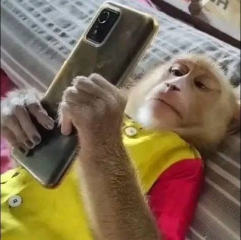 𝙰𝙻𝙴𝙺𝙴𝚈🇰🇪🇺🇸 tweet media