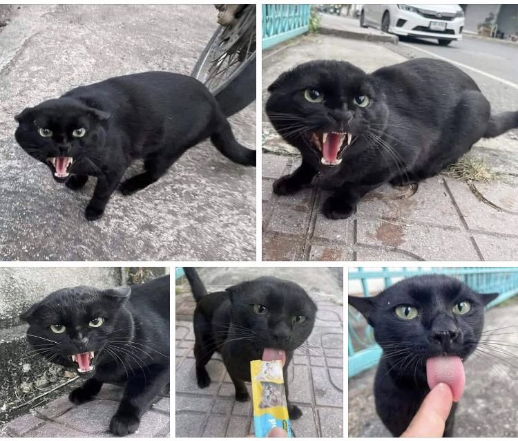 blackscats's tweet photo. 10/10 advertising https://t.co/hEdiSNxpjZ