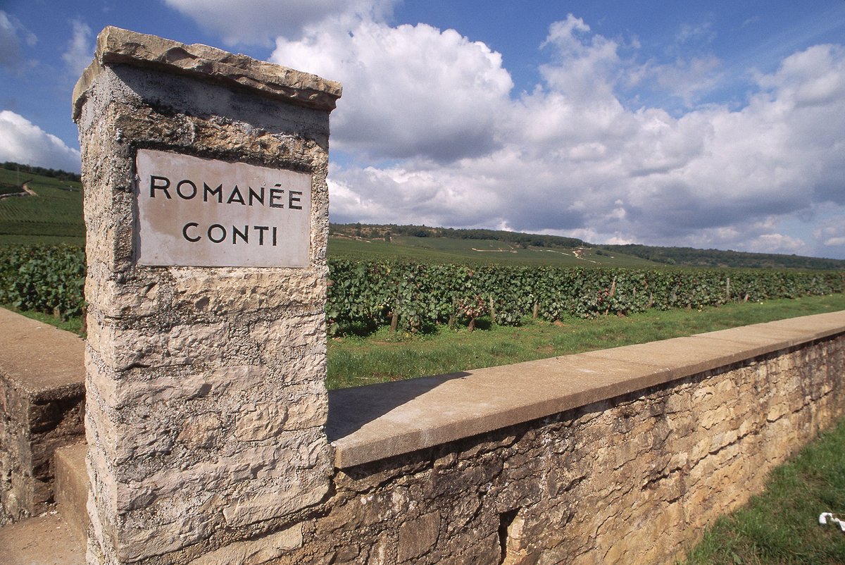 WineNewsIt's tweet photo. Ecco le prime 9 #cantine con 3 #UveMichelin, che debuttano con i #domaines mito di #Borgogna. Da #RomanéeConti a #Leroy, da #CécileTremblay a #DugatPy, da #Roumier a #DomaineDAuvenay, da #CocheDury a #JeanMarcEtThomasBouley e #HubertLamy, https://t.co/3pD7ns7KKe https://t.co/ppsNzU5SVc