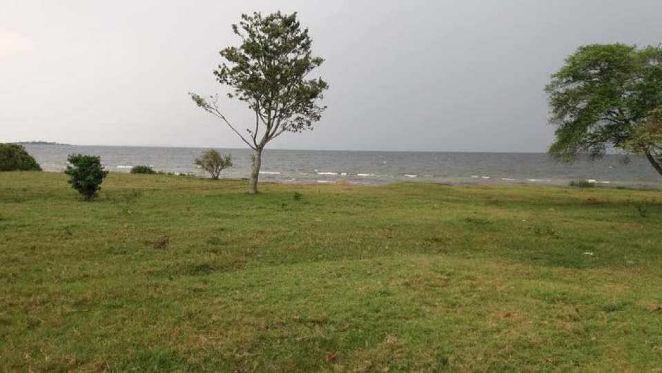 uganda44948's tweet photo. Lakefront land for sale:

Munyonyo Near Speak Resort

2.5 acres - Total Price : $2,750,000

5 acres - Total Price $5,500,000

Ready private mailo titles

WhatsApp + 256 702968650 https://t.co/mA1sXOnM8Q