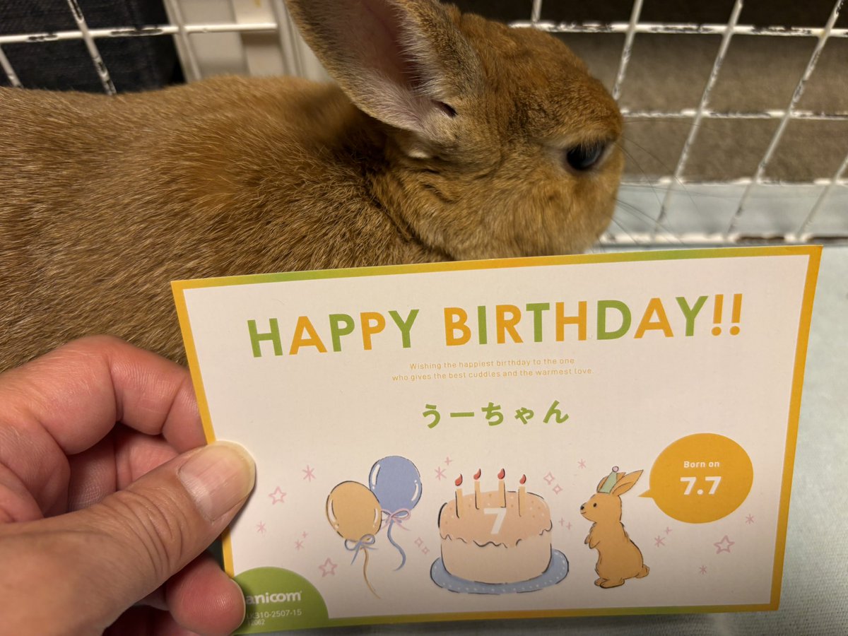 tayohika2's tweet photo. 今日誕生日、
うー様もお辞儀でお礼しております https://t.co/nrOwp5rXm1