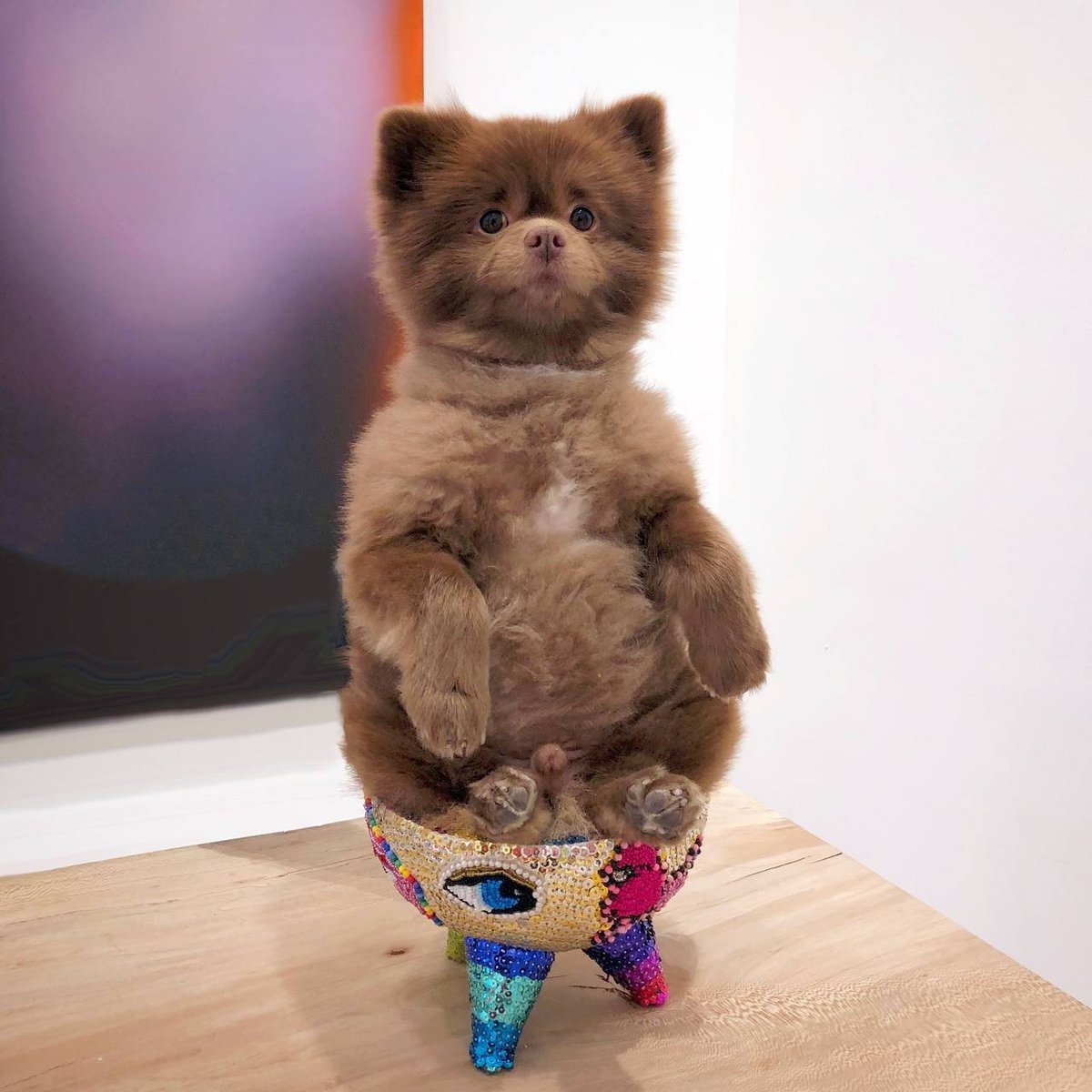 notondread's tweet photo. @dcmonalds The dog meta isn’t the problem.
It’s the lack of substance behind most of them.
$BERT flipped that script, community first, product second, hype last. https://t.co/0AXpHeAyuM