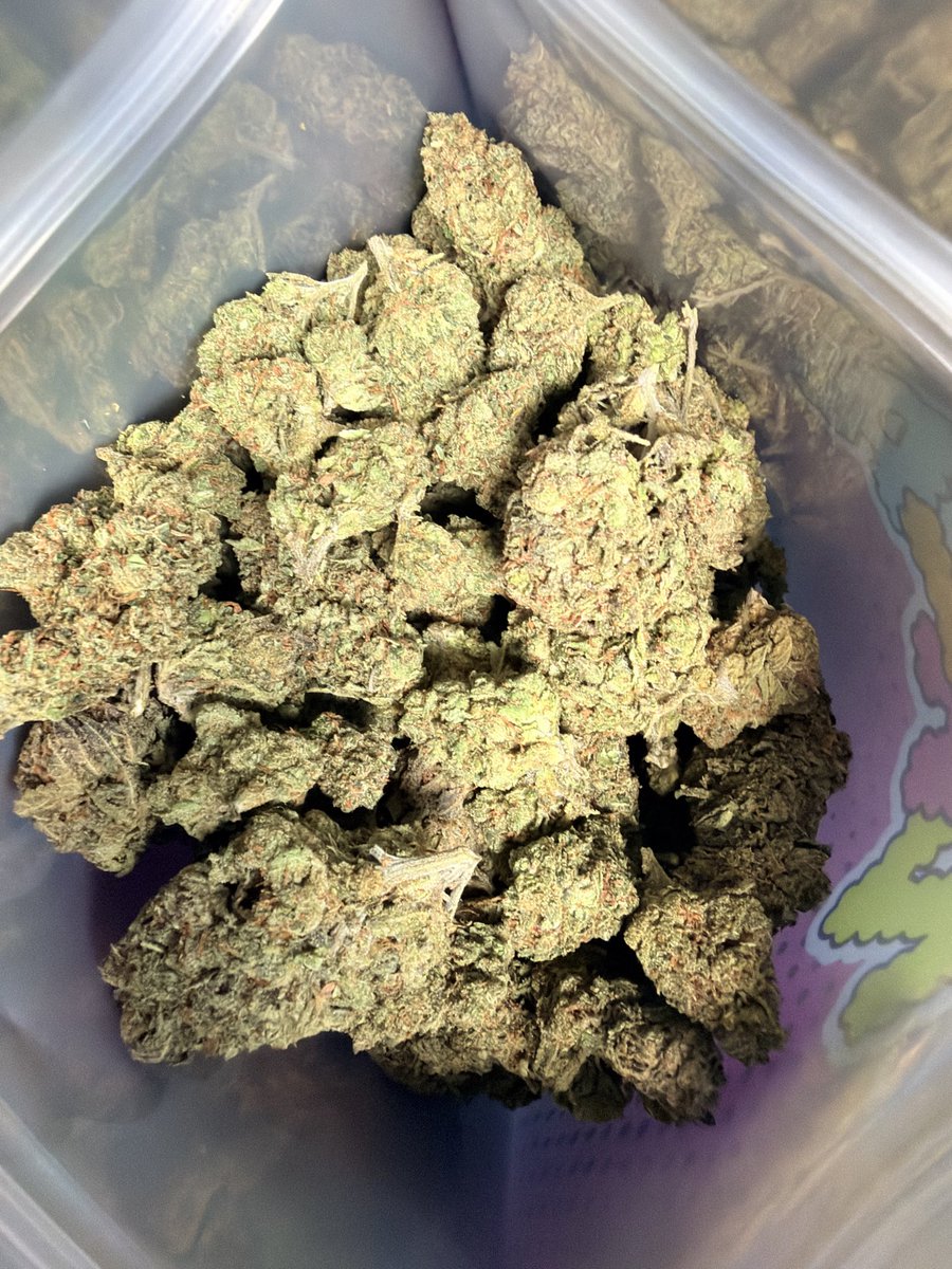 hallofdanktx's tweet photo. Runtz x Grease Monkey INDICA
3.5-$20 (PULL UP ONLY)
7-$35
14-$60
28-$110
56-$180
CUTIE-$325
#dfwplug #dallaszaza #dallasweed #dallastexas #irvingplug #fortworthza https://t.co/4FgZdt1TIQ