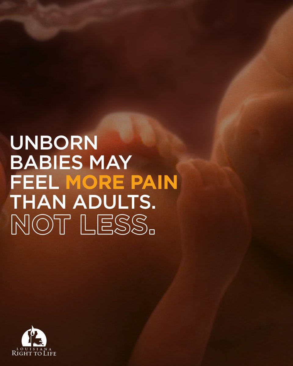 LARighttoLife's tweet photo. Unborn babies may experience more intense pain than adults, not less.

Their pain inhibition systems aren't fully developed. That's why neonatologists treat pain in babies born at 22-23 weeks as standard care. https://t.co/v5fDwIQX2I