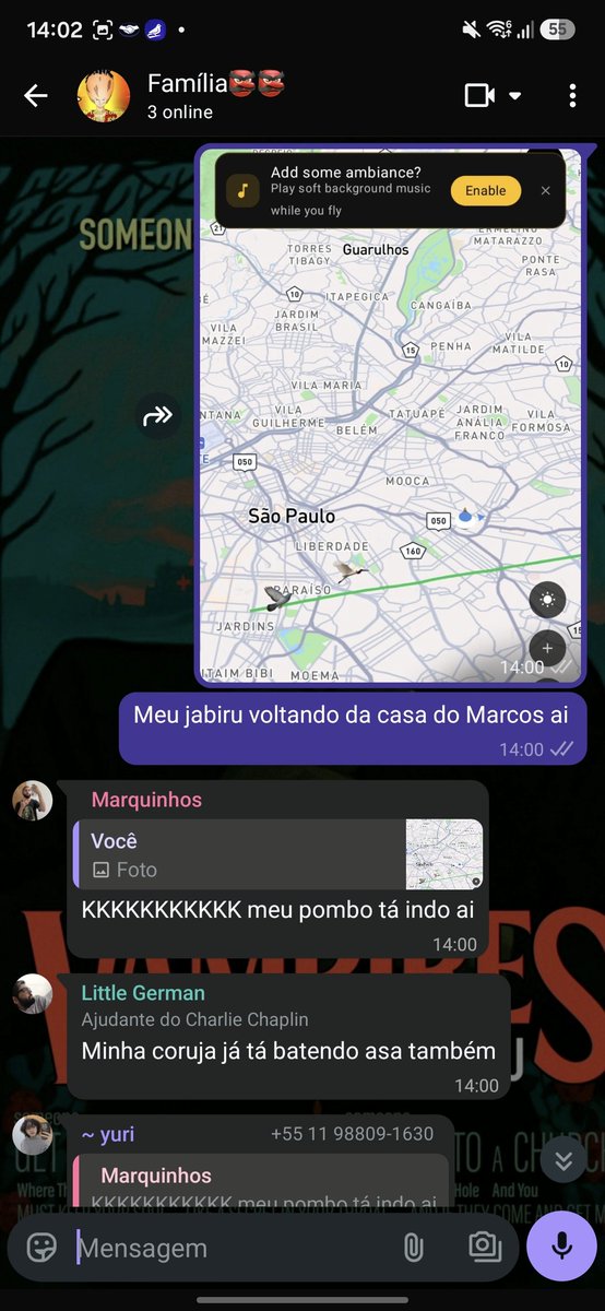 HolyLillith's tweet photo. Eu e meus amigos estamos a mandar pássaros uns pros outros, que lindo sabe https://t.co/xcWqY9WWsx