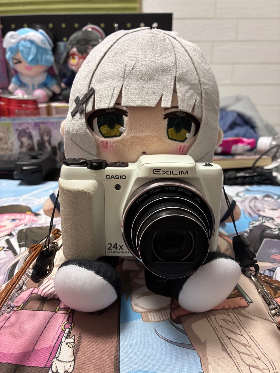 konpaku_taknoko's tweet photo. 我々がぬい撮りをしている時、ぬいもまたこちらを撮っているのだ…… https://t.co/CeAR4Lad5n