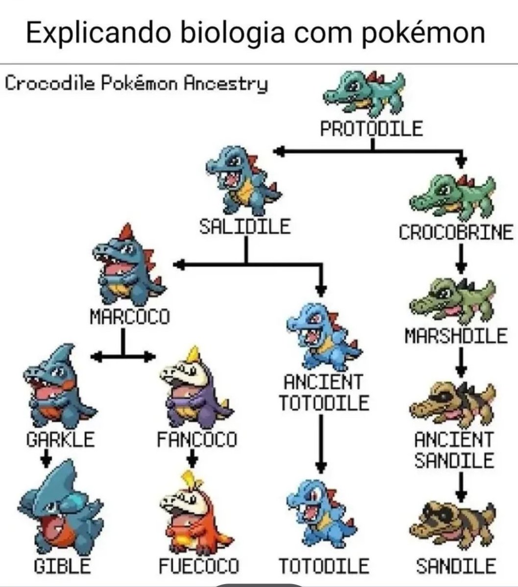 pokemon_fanss's tweet photo. Pokemon evolution but it’s accurate https://t.co/ROGh5WG853