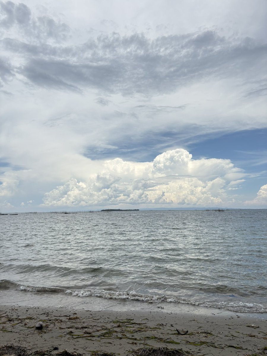 mrnnbrrm's tweet photo. 🌊🫧🍃 https://t.co/Gfl71DuPiD