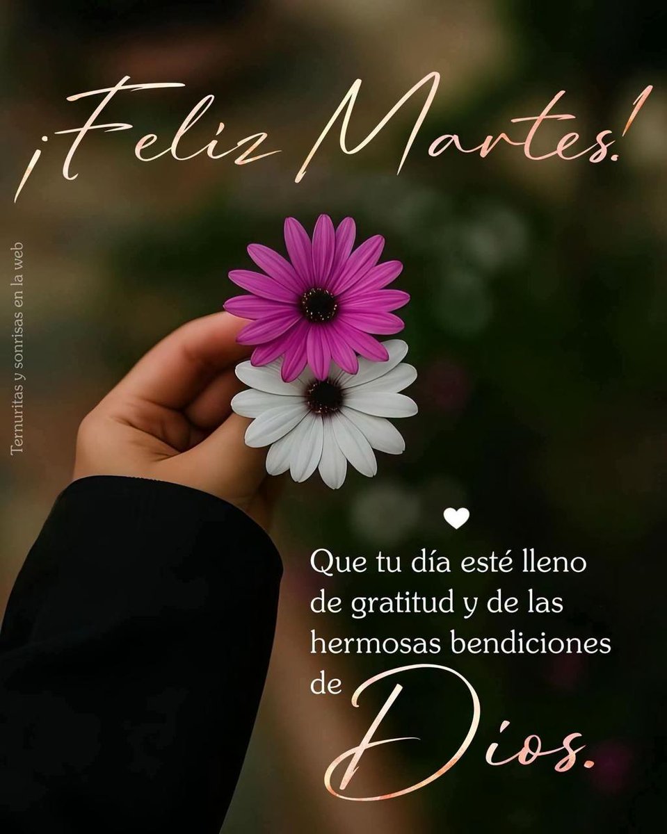 JavierMuozPrez2's tweet photo. @Paula48079240 Excelente martes. Saludos y fuerte abrazo. https://t.co/vkNuBW6Fbs