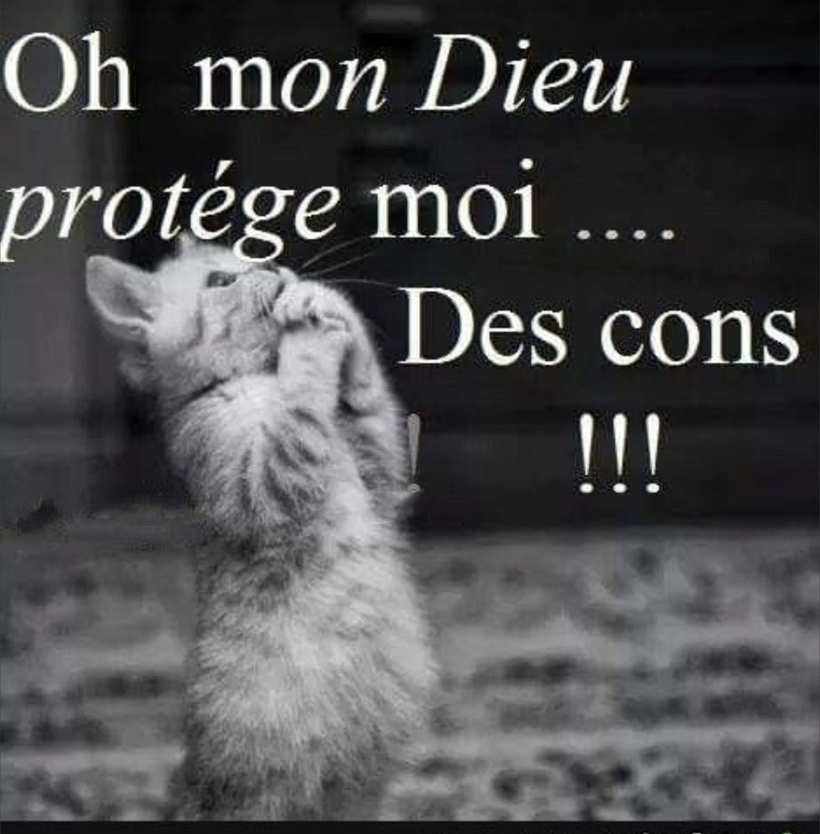 sherazede2's tweet photo. @caro_soph @CordierAlice2 Il n’y a pas plus sombre merde qu’une merde qui ne sait pas qu’elle en est une grosse 💩 https://t.co/k8npSvF26O