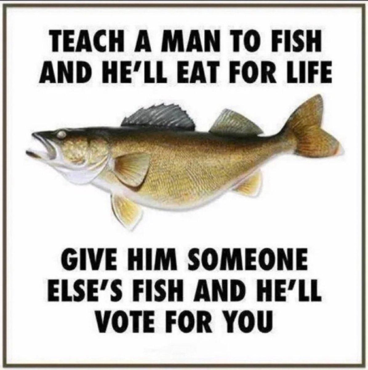 TheRabbitHole's tweet photo. The problem with socialism is that it encourages dependency over self sufficiency https://t.co/NoZmVafoCz