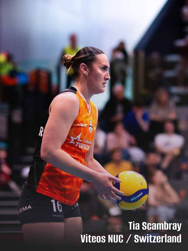 Indy Ignite Pro Volleyball tweet media