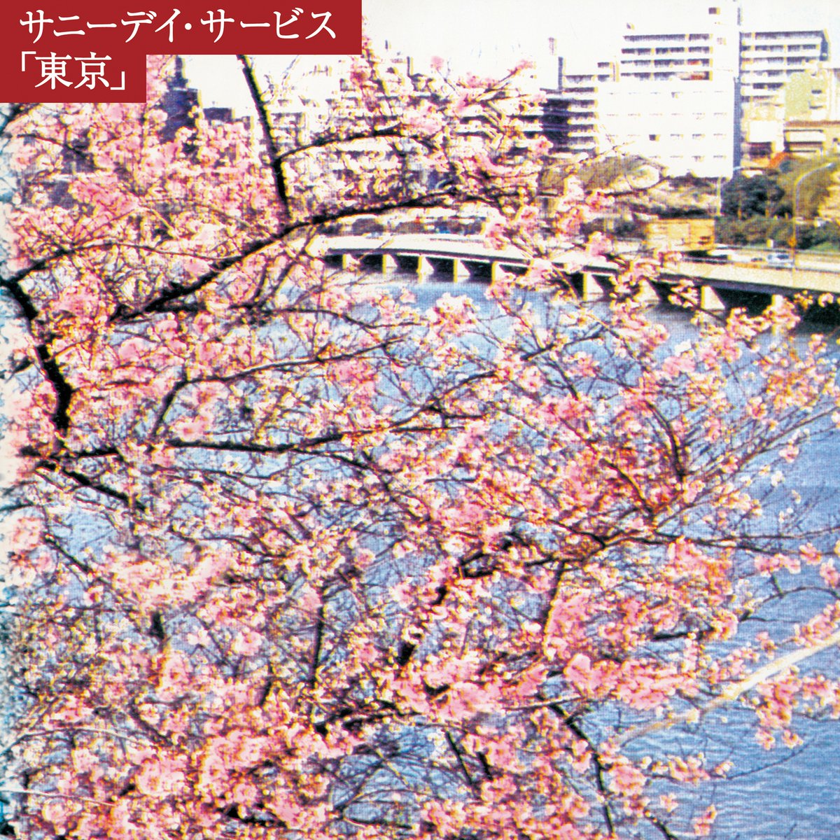 sunnyday_tokyo's tweet photo. 🌸リリース情報🌸

サニーデイ・サービス
『東京』30周年記念盤
8月26日MIDIよりリリース！

最新カッティングを施したアナログ盤と最新マスタリングによるCD(Blu-specCD2)の発売、および配信でのリリースです。

各販売店にて予約受付中🌸 https://t.co/LiWNdiKB0e