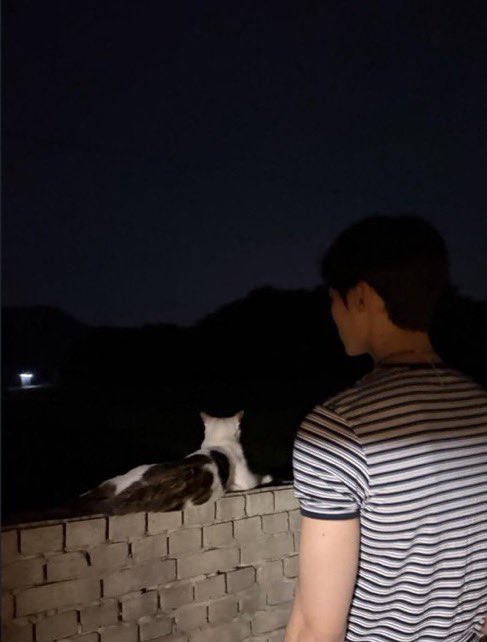 traveltothenew's tweet photo. 대딩 엠티 가서 이런 사진이나 인스스 올리는데 엠티 간다 할때부터 아무렇지 않은 척하다가 걍 충동적으로 그 시골 구석까지 차끌고 간 아저씨보고싶음 https://t.co/Ke64gx71Pj